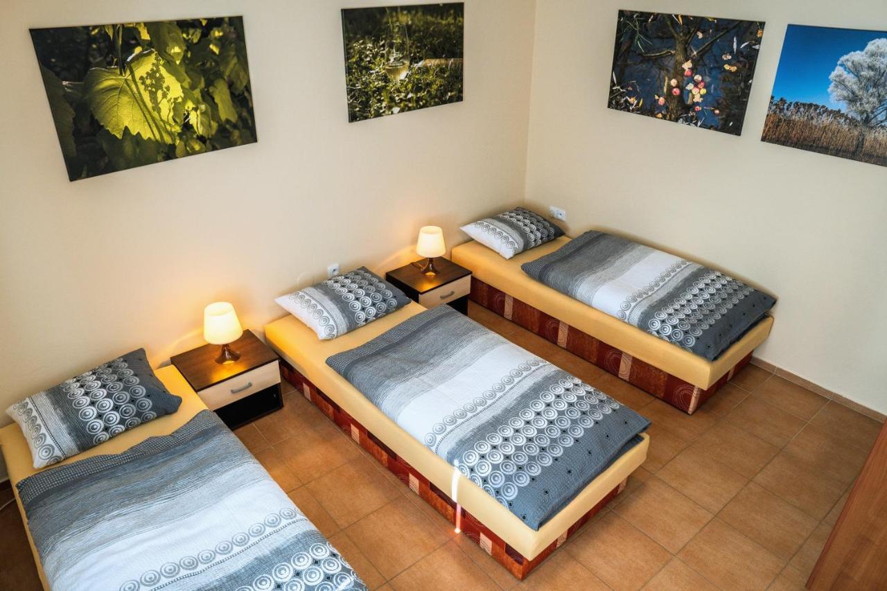 Ubytovani Ve Vinarstvi Medek | Medek House & Winery Uherské Hradiště Dış mekan fotoğraf