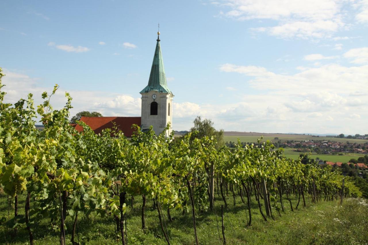Ubytovani Ve Vinarstvi Medek | Medek House & Winery Uherské Hradiště Dış mekan fotoğraf