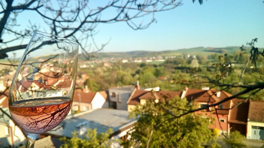 Ubytovani Ve Vinarstvi Medek | Medek House & Winery Uherské Hradiště Dış mekan fotoğraf