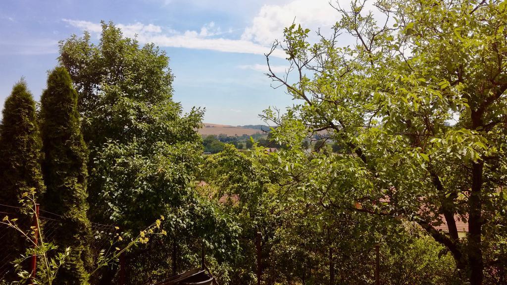 Ubytovani Ve Vinarstvi Medek | Medek House & Winery Uherské Hradiště Dış mekan fotoğraf