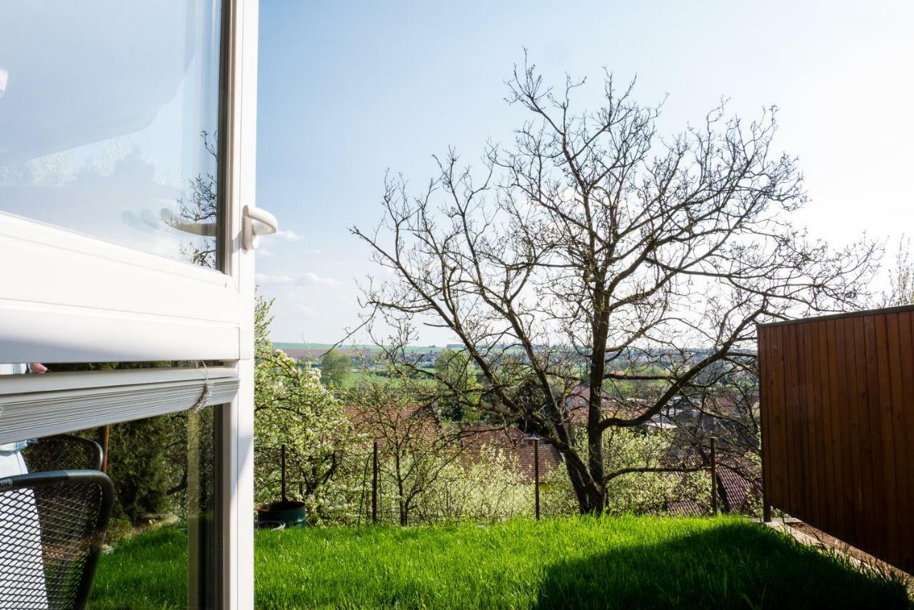 Ubytovani Ve Vinarstvi Medek | Medek House & Winery Uherské Hradiště Dış mekan fotoğraf