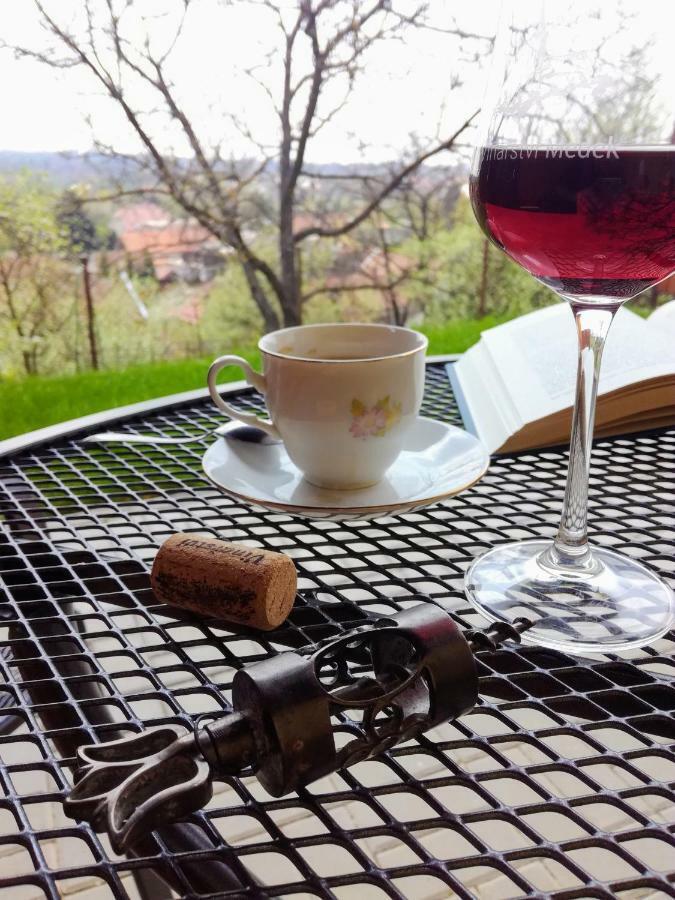 Ubytovani Ve Vinarstvi Medek | Medek House & Winery Uherské Hradiště Dış mekan fotoğraf